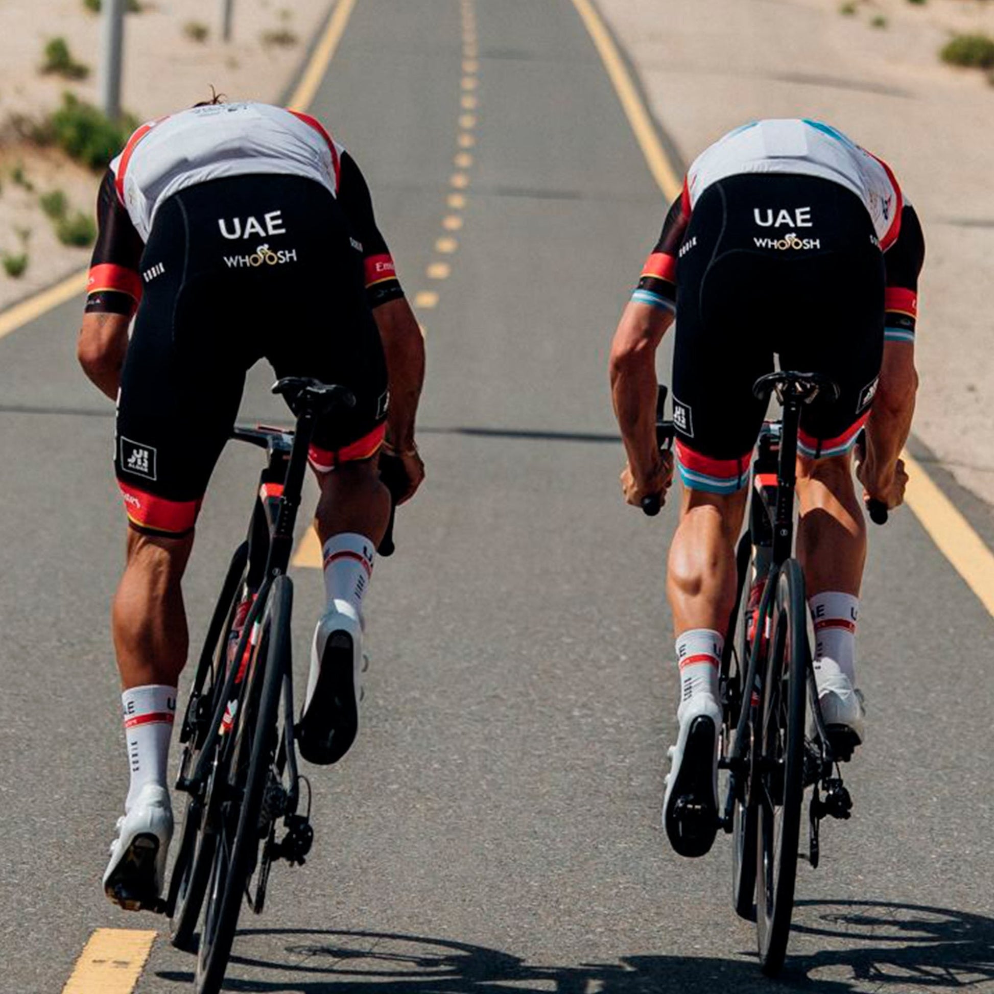 CULOTTE CORTO ABSOLUTE 4.0 HOMBRE UAE TEAM EMIRATES 2021 - K10